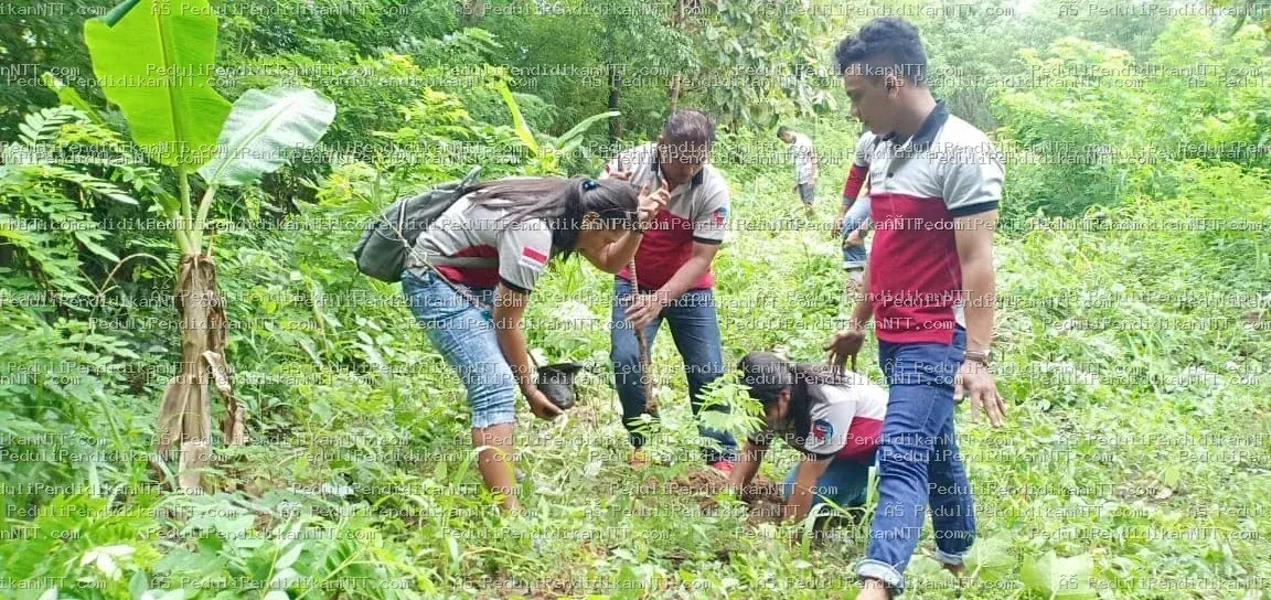 Foto 6 - Kota Kupang 2019
