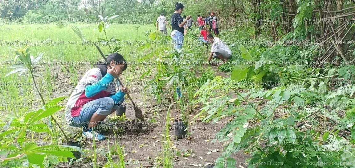 Foto 8 - Kota Kupang 2019