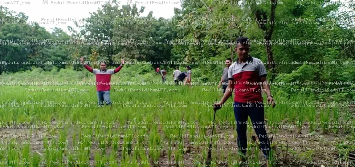 Foto 10 - Kota Kupang 2019