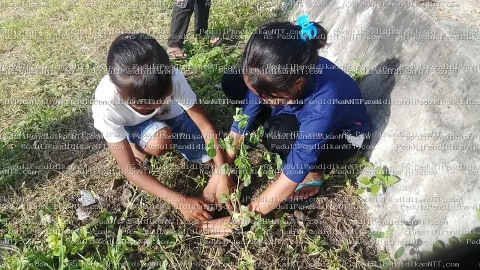 Foto 7 - Kabupaten Sumba Timur 2020