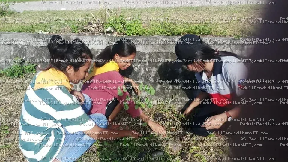 Foto 11 - Kabupaten Sumba Timur 2020