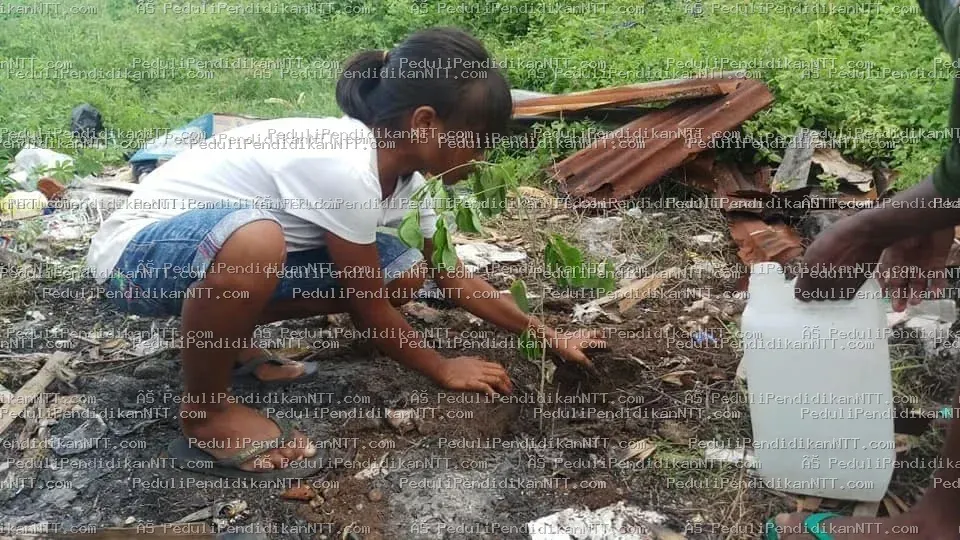 Foto 12 - Kabupaten Sumba Timur 2020