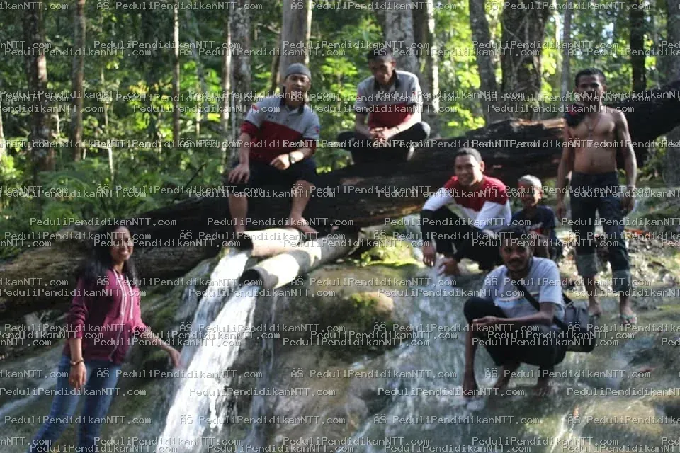 Foto 9 - Kabupaten Timor Tengah Utara 2019