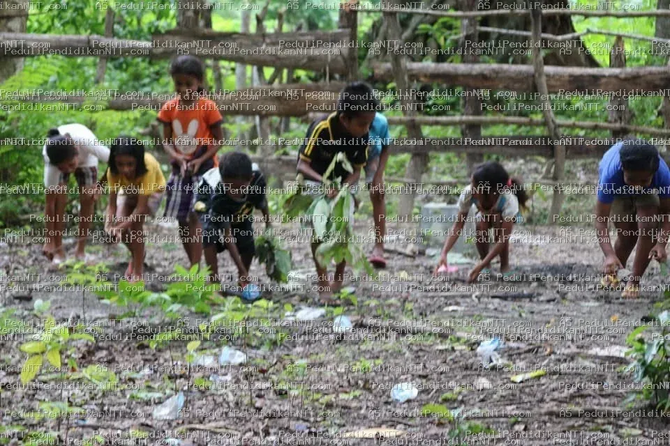 Foto 8 - Kabupaten Timor Tengah Utara 2020