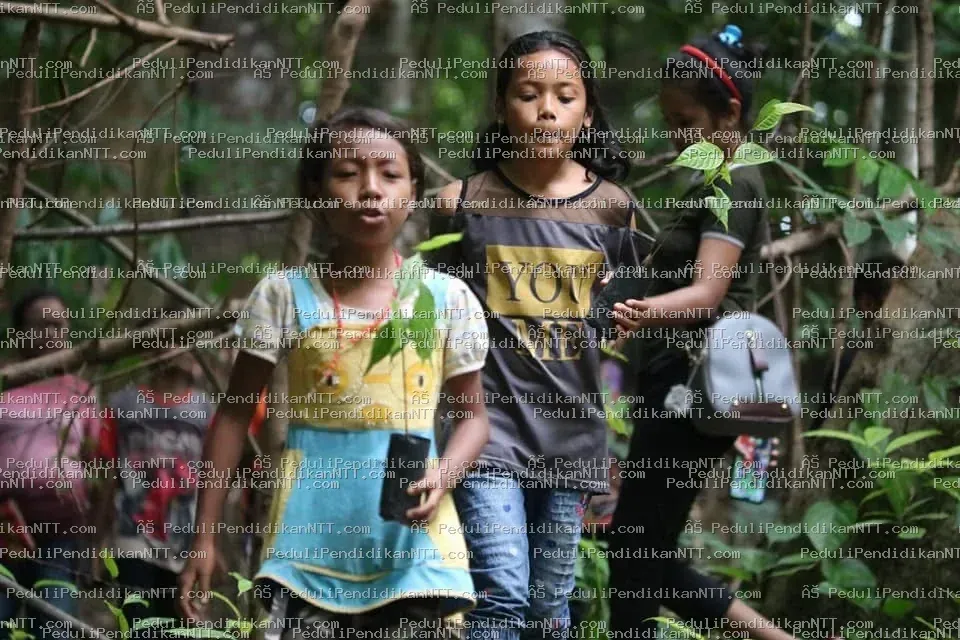 Foto 10 - Kabupaten Timor Tengah Utara 2020