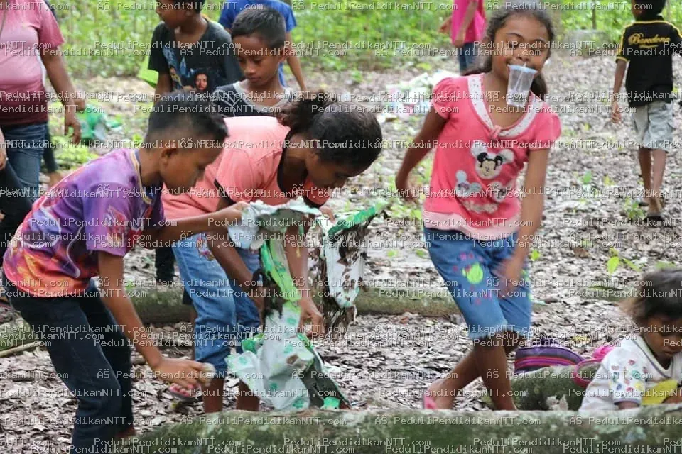 Foto 11 - Kabupaten Timor Tengah Utara 2020