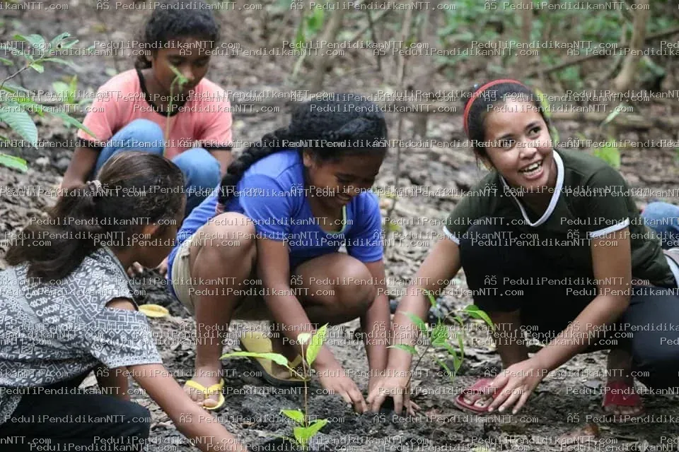 Foto 12 - Kabupaten Timor Tengah Utara 2020