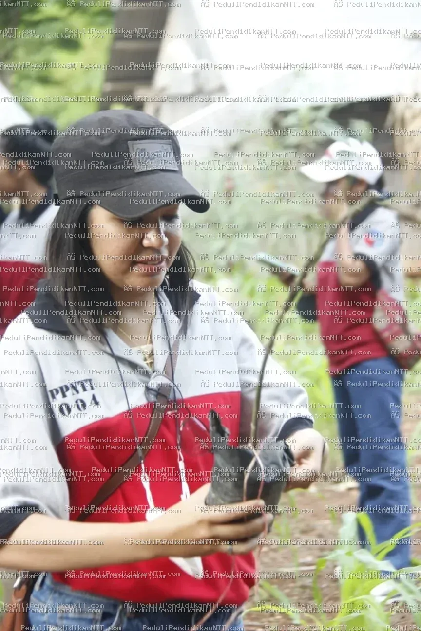 Menutup 2021, Komunitas Peduli Pendidikan NTT berbagi kasih di Desa Sekon, Kecamatan Insana, Kabupaten TTU, menemui anak-anak yatim dan piatu yang diasuh nenek mereka sebagai pejuang pendidikan. Archangela dan Jesica, kakak-adik remaja yang tinggal bersama neneknya, menjadi simbol harapan dan perjuangan. Meskipun bingkisan yang diberikan sederhana, kegiatan ini sebagai bentuk kepedulian untuk mendukung pendidikan dan memotivasi anak-anak meraih masa depan lebih baik. Sebelum meninggalkan desa, anggota komunitas menanam anakan mangga sebagai ungkapan cinta dan terima kasih kepada alam. Terima kasih 2021, Bersama Kita Bisa. - Kabupaten Timor Tengah Utara 2021