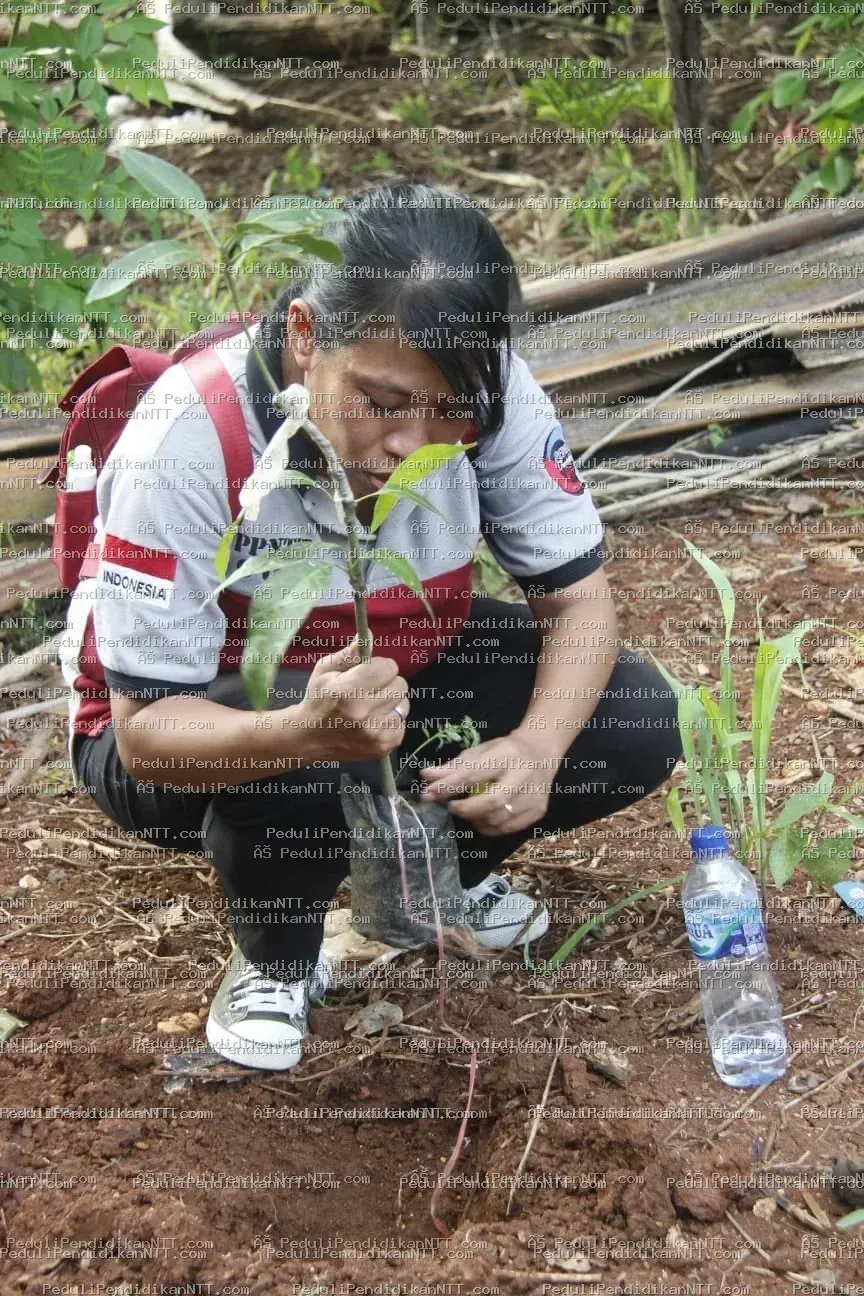 Menutup 2021, Komunitas Peduli Pendidikan NTT berbagi kasih di Desa Sekon, Kecamatan Insana, Kabupaten TTU, menemui anak-anak yatim dan piatu yang diasuh nenek mereka sebagai pejuang pendidikan. Archangela dan Jesica, kakak-adik remaja yang tinggal bersama neneknya, menjadi simbol harapan dan perjuangan. Meskipun bingkisan yang diberikan sederhana, kegiatan ini sebagai bentuk kepedulian untuk mendukung pendidikan dan memotivasi anak-anak meraih masa depan lebih baik. Sebelum meninggalkan desa, anggota komunitas menanam anakan mangga sebagai ungkapan cinta dan terima kasih kepada alam. Terima kasih 2021, Bersama Kita Bisa. - Kabupaten Timor Tengah Utara 2021