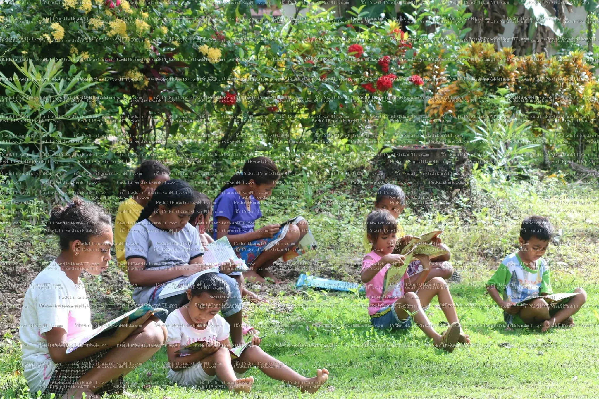 Taman Baca Anjelas - Binaan Komunitas PPNTT-TTU - Kabupaten Timor Tengah Utara 2022