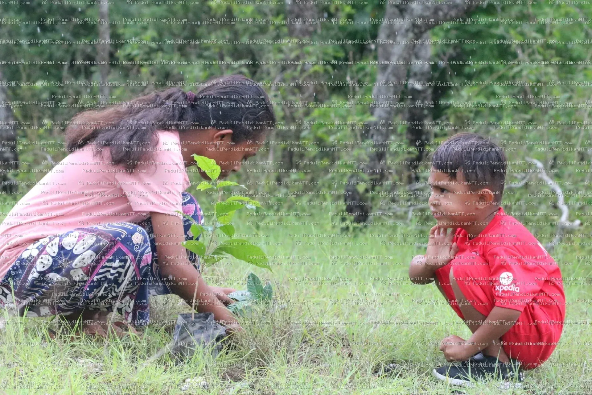 Rutinitas Taman Baca Anjelas-20 November 2022 melaksanakan penghijauan di area Gua Maria Haurakin-TTU - Kabupaten Timor Tengah Utara 2022