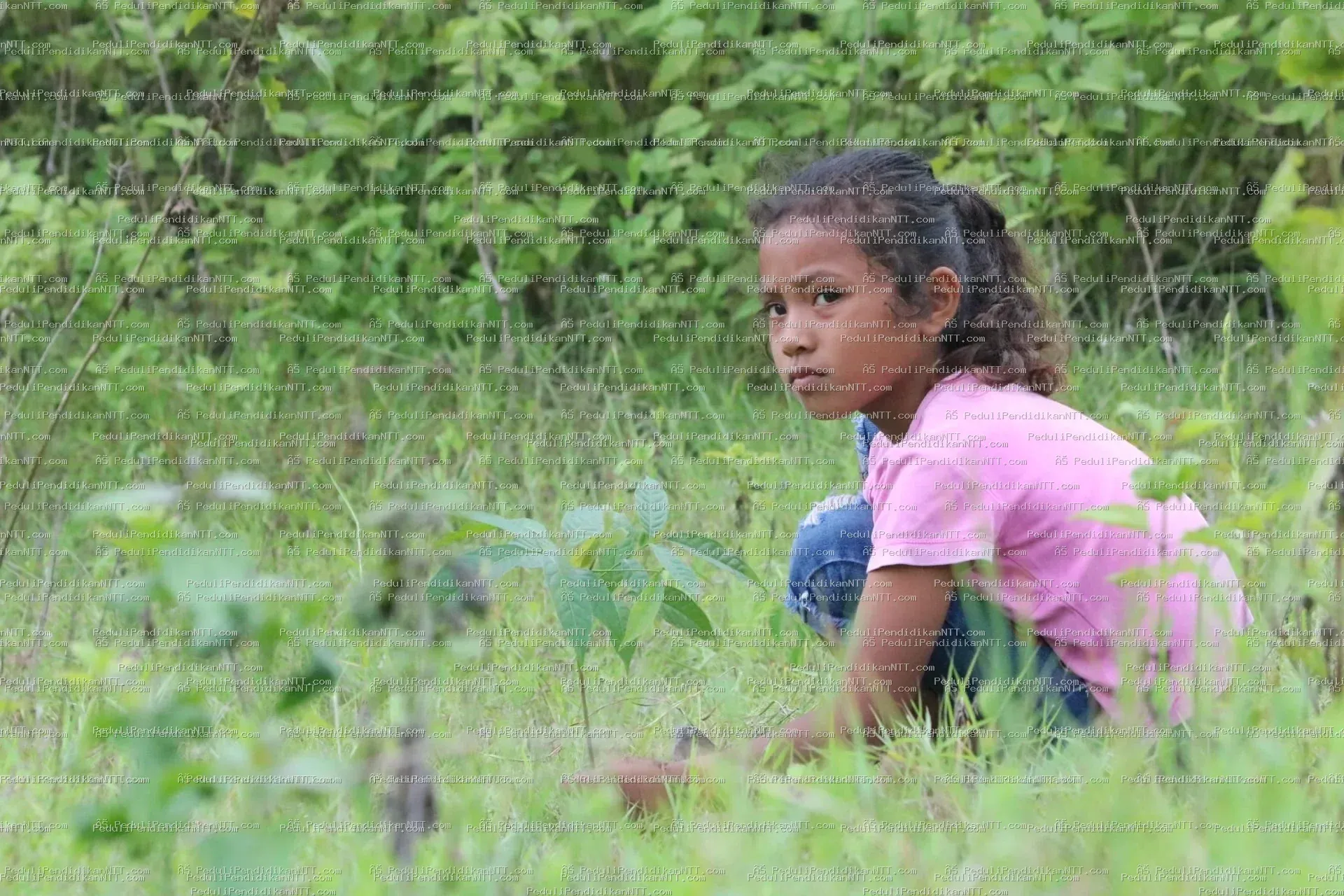 Rutinitas Taman Baca Anjelas-20 November 2022 melaksanakan penghijauan di area Gua Maria Haurakin-TTU - Kabupaten Timor Tengah Utara 2022