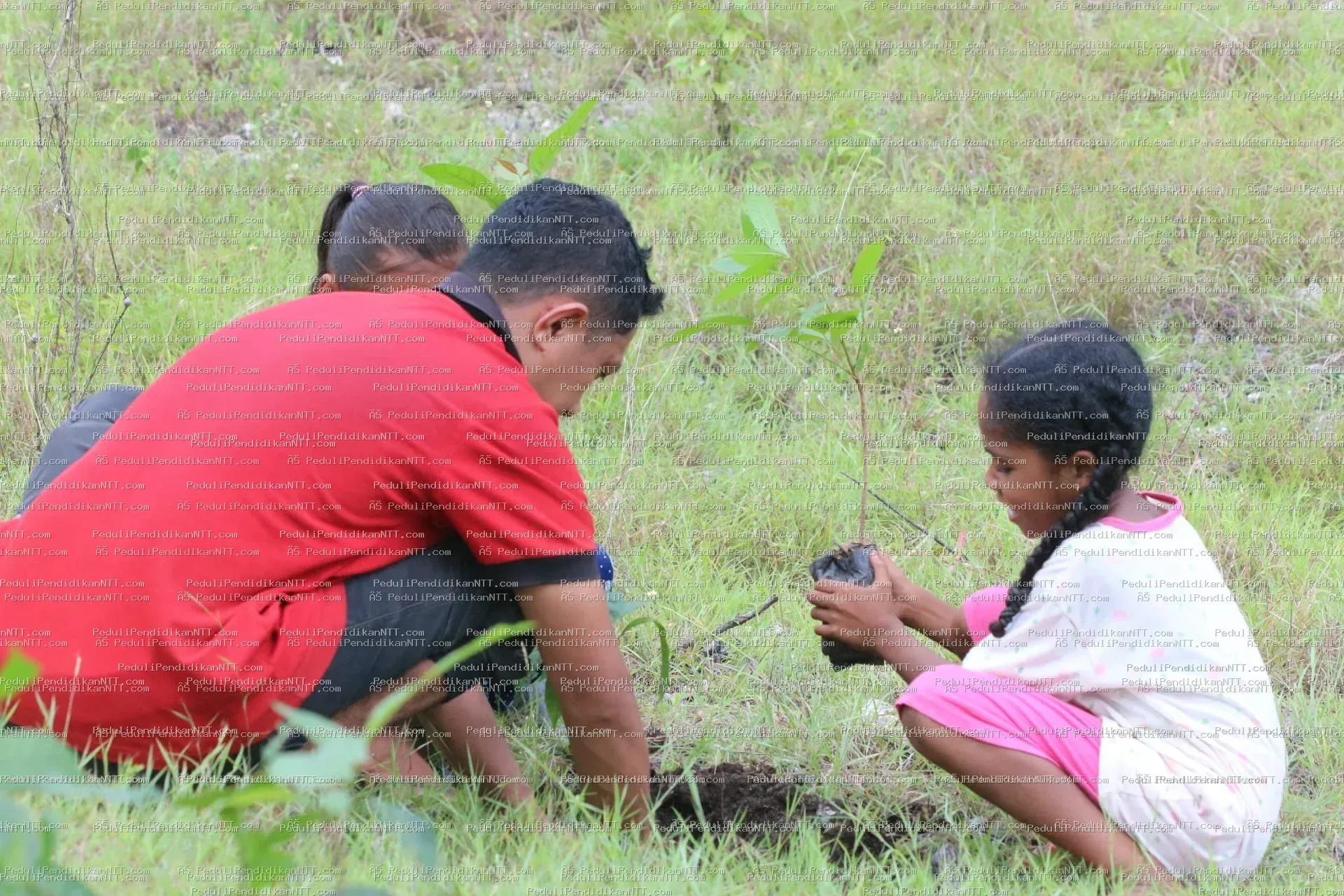 Rutinitas Taman Baca Anjelas-20 November 2022 melaksanakan penghijauan di area Gua Maria Haurakin-TTU - Kabupaten Timor Tengah Utara 2022