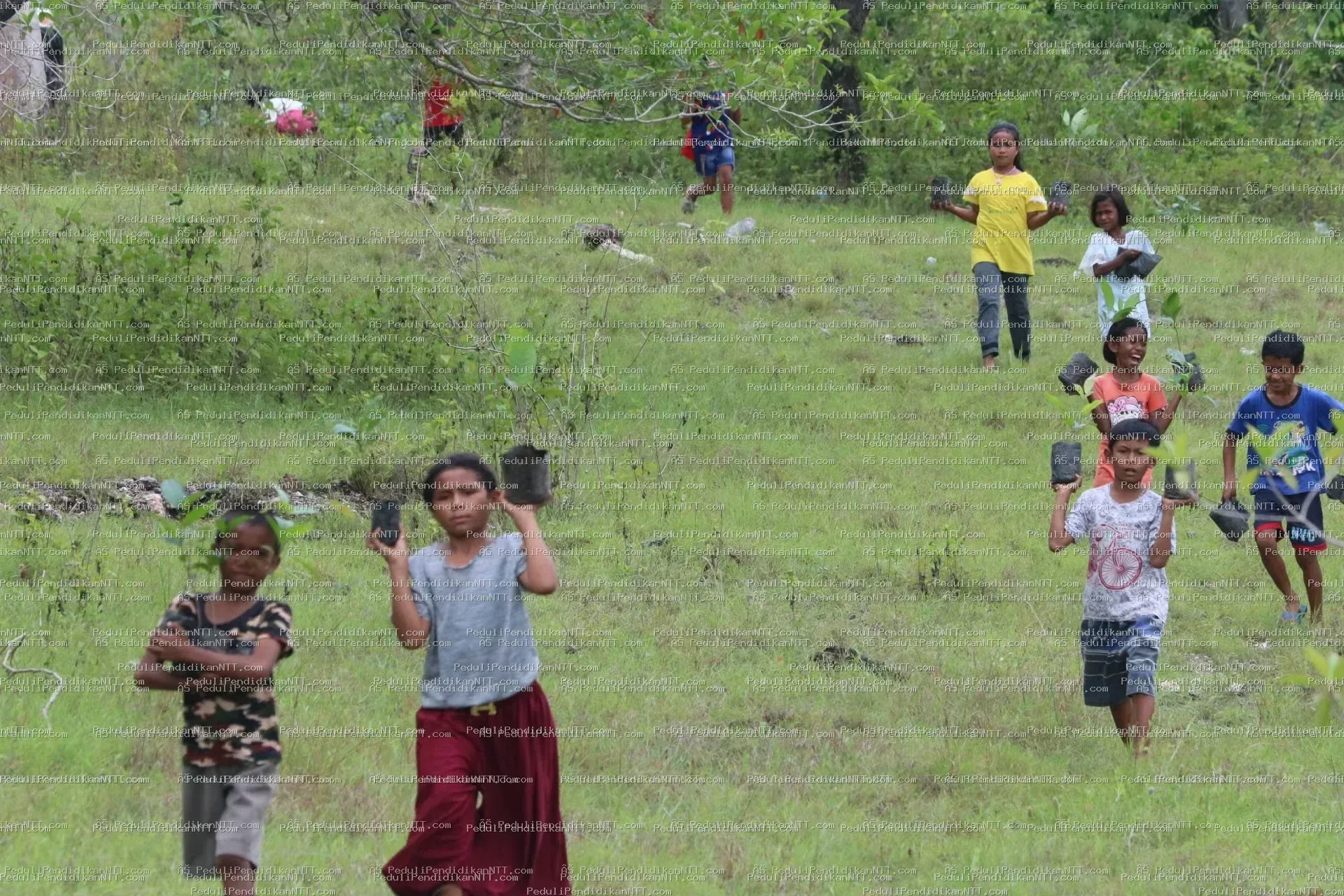 Rutinitas Taman Baca Anjelas-20 November 2022 melaksanakan penghijauan di area Gua Maria Haurakin-TTU - Kabupaten Timor Tengah Utara 2022