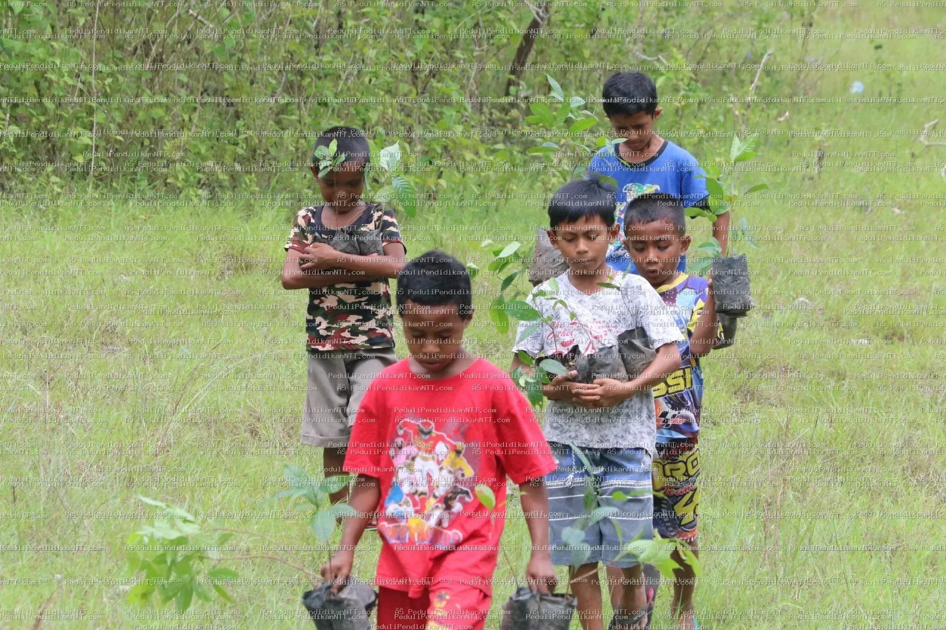 Rutinitas Taman Baca Anjelas-20 November 2022 melaksanakan penghijauan di area Gua Maria Haurakin-TTU - Kabupaten Timor Tengah Utara 2022