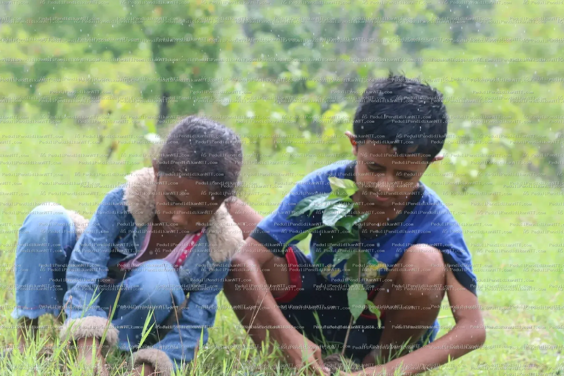 Rutinitas Taman Baca Anjelas-20 November 2022 melaksanakan penghijauan di area Gua Maria Haurakin-TTU - Kabupaten Timor Tengah Utara 2022