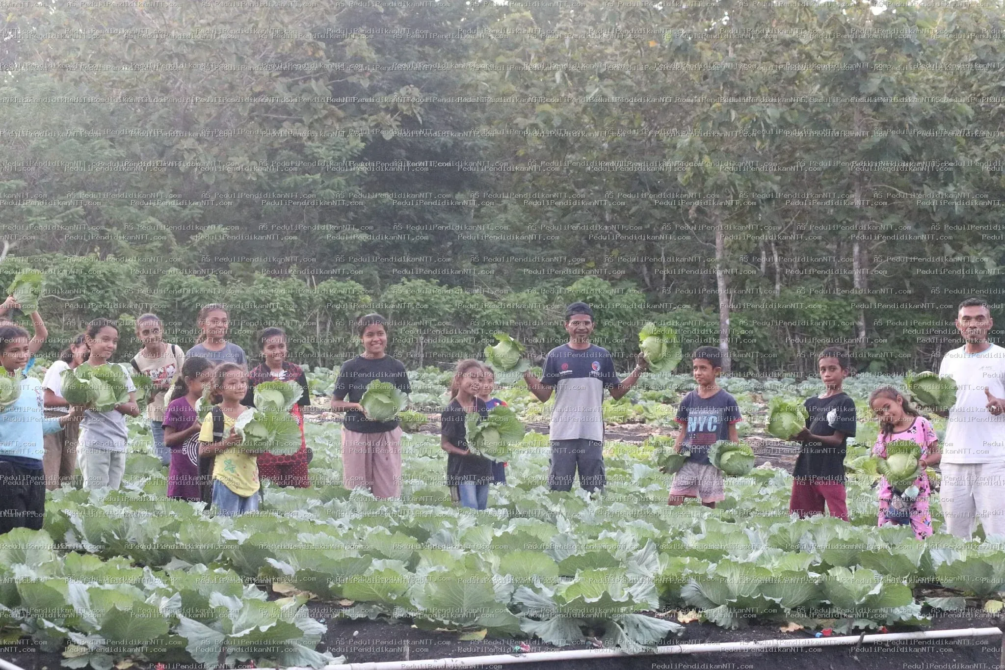 Minggu, 02 April 2023 anak-anak Taman Baca Anjelas binaan Komunitas Peduli Pendidikan NTT mengisi waktu libur dengan berkunjung ke beberapa tempat di Oeluan, memetik jambu di hutan, lalu belajar di kebun sayur milik Kk Yosep Juan Heli. Dari Kk Juan, anak-anak mendapat pelajaran berharga tentang niat, fokus, proses, dan selalu bersyukur dari pengalaman hidupnya. Pendamping juga menyampaikan permohonan maaf kepada orang tua karena anak-anak hari ini terlambat pulang. - Kabupaten Timor Tengah Utara 2023