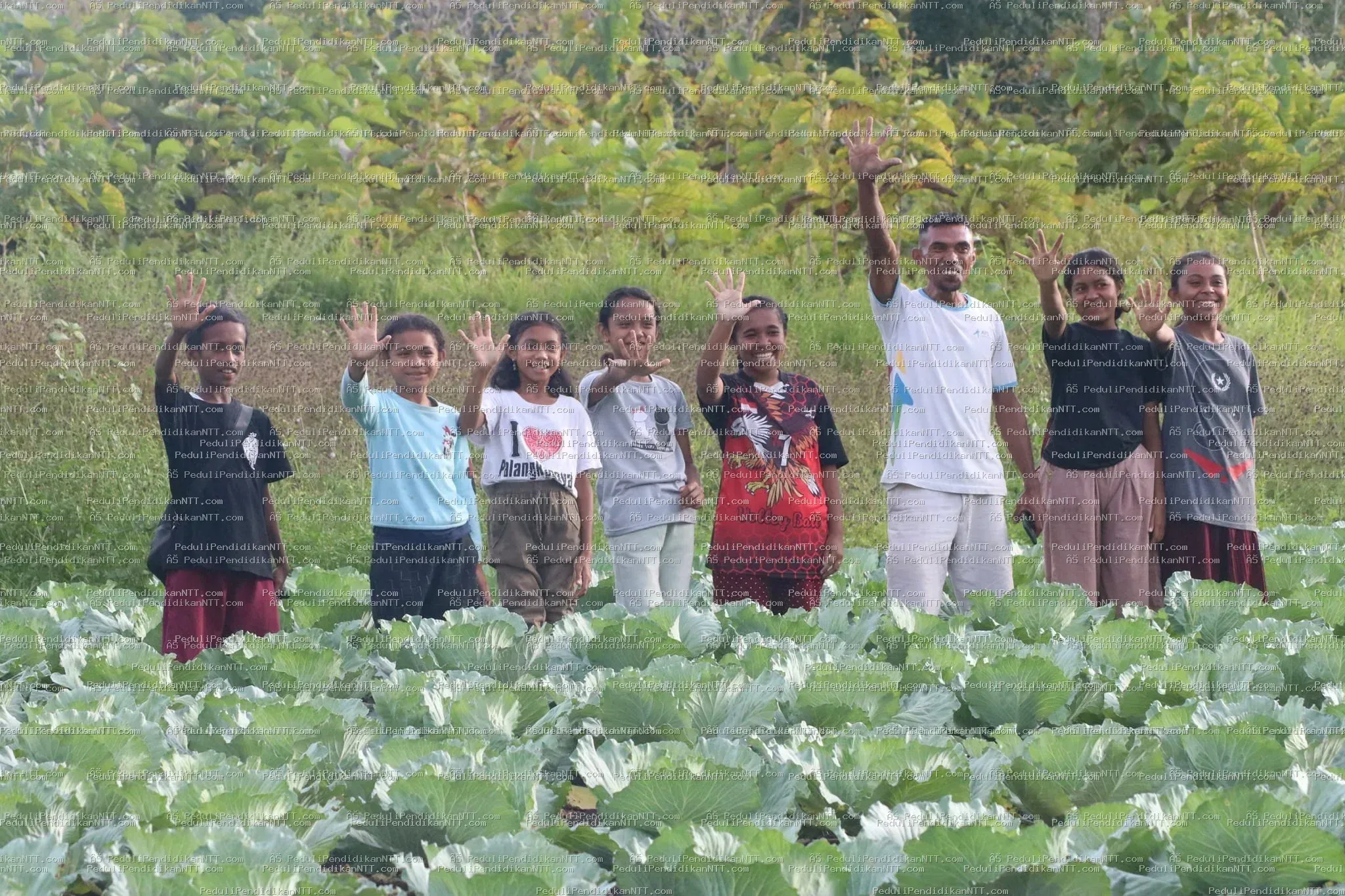 Minggu, 02 April 2023 anak-anak Taman Baca Anjelas binaan Komunitas Peduli Pendidikan NTT mengisi waktu libur dengan berkunjung ke beberapa tempat di Oeluan, memetik jambu di hutan, lalu belajar di kebun sayur milik Kk Yosep Juan Heli. Dari Kk Juan, anak-anak mendapat pelajaran berharga tentang niat, fokus, proses, dan selalu bersyukur dari pengalaman hidupnya. Pendamping juga menyampaikan permohonan maaf kepada orang tua karena anak-anak hari ini terlambat pulang. - Kabupaten Timor Tengah Utara 2023