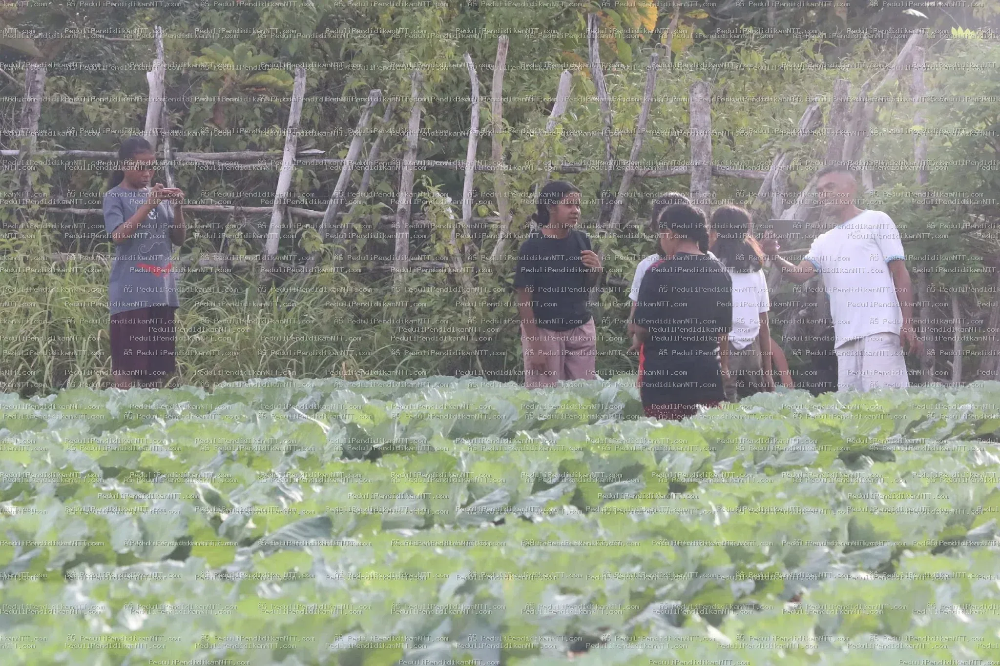 Minggu, 02 April 2023 anak-anak Taman Baca Anjelas binaan Komunitas Peduli Pendidikan NTT mengisi waktu libur dengan berkunjung ke beberapa tempat di Oeluan, memetik jambu di hutan, lalu belajar di kebun sayur milik Kk Yosep Juan Heli. Dari Kk Juan, anak-anak mendapat pelajaran berharga tentang niat, fokus, proses, dan selalu bersyukur dari pengalaman hidupnya. Pendamping juga menyampaikan permohonan maaf kepada orang tua karena anak-anak hari ini terlambat pulang. - Kabupaten Timor Tengah Utara 2023